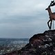 A statue of a deer on top of a slag heap overlooking Donetsk.